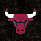 NBA Chicago Bulls Black Distressed Moto E5 Play Skin